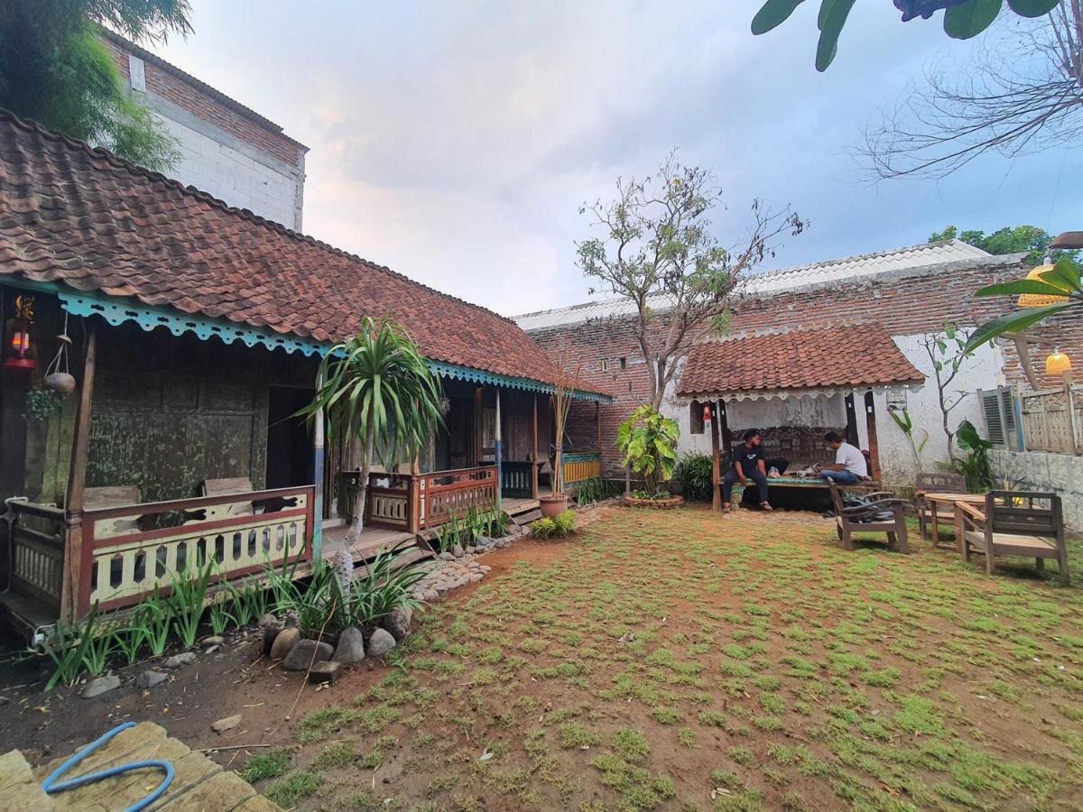 Happy House Bnb Bromo Backpacker Probolinggo Exteriör bild